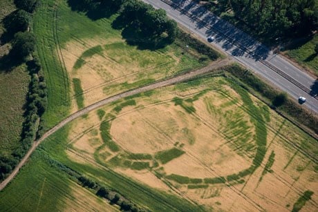 Did you know? 8 biggleswade medieval castle